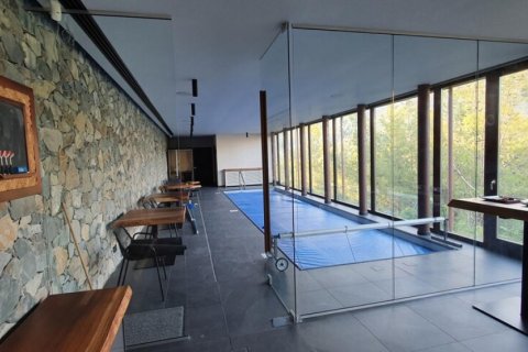 Вилла с 5 спальнями в Лимассол, Лимасол,  № 38916 10