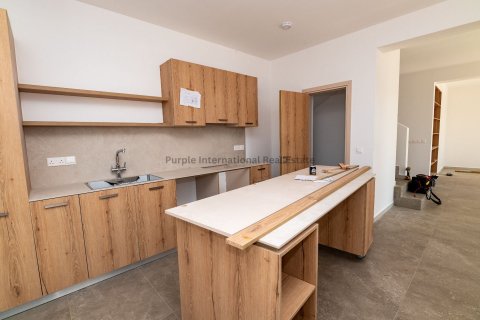 Вилла с 4 спальнями в Протарас, Аммохостос, Кипр № 8722 10
