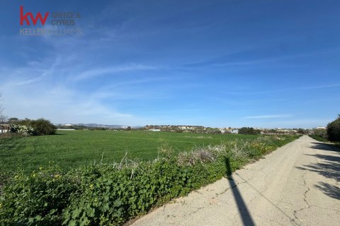 6395m2 Land in Psematismenos, Larnaka,  No. 40173 4