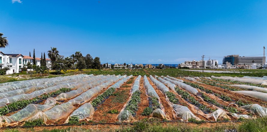 Land in Paralimni, Ammochostos,  No. 35791