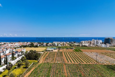 Land in Paralimni, Ammochostos,  No. 35791 2