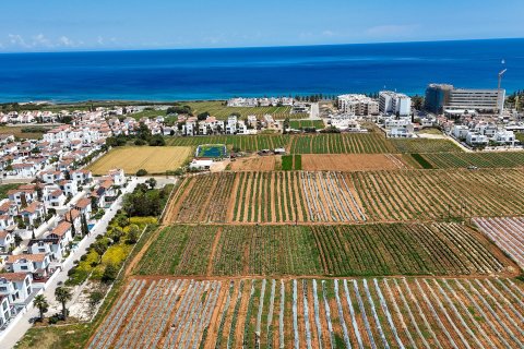 Land in Paralimni, Ammochostos,  No. 35791 3