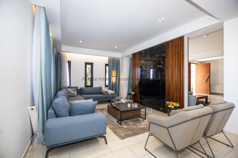 6 bedrooms Villa in Deryneia, Ammochostos,  No. 36457 11