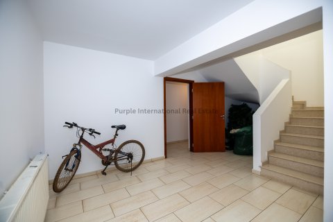 6 bedrooms Villa in Deryneia, Ammochostos,  No. 36457 27