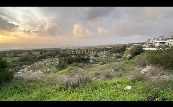 Terrain à Pegeia, Paphos, Chypre No. 56098