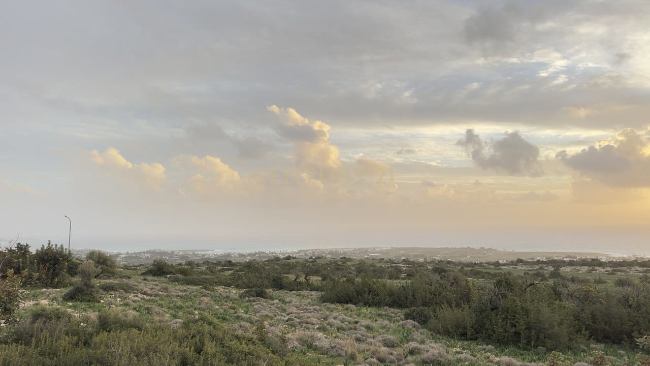 Terrain à Pegeia, Paphos, Chypre No. 56098