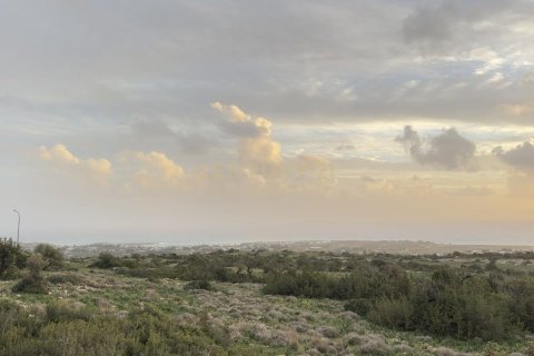 Terreno en Pegeia, Paphos,  No. 56098 5