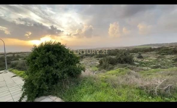 Terrain à Pegeia, Paphos, Chypre No. 56098