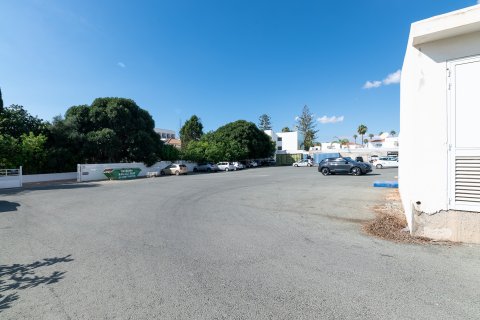 Магазин 200м2 в Айя Напа, Аммохостос,  № 51200 4