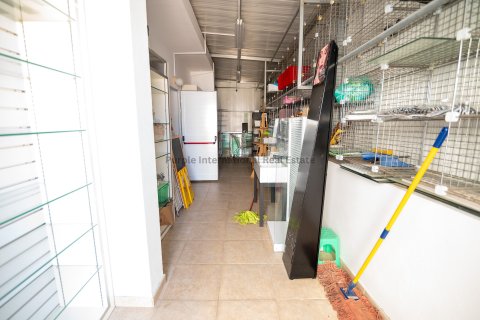 Магазин 200м2 в Айя Напа, Аммохостос,  № 51200 5