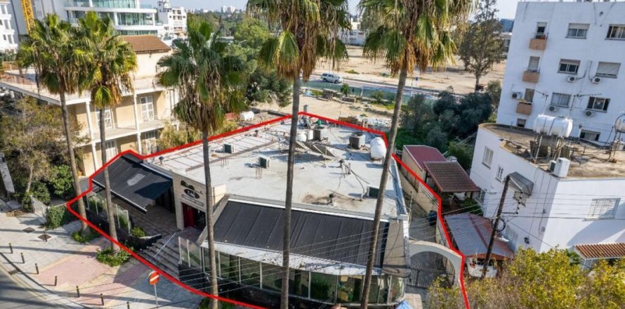 242m2 Commercial property in Nicosia, No. 37944