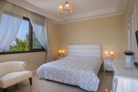880m2 Propriété commerciale à Argaka, Paphos, Chypre No. 26037