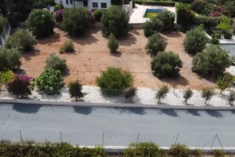 7 chambres Villa à Pegeia, Paphos, No. 50423 18