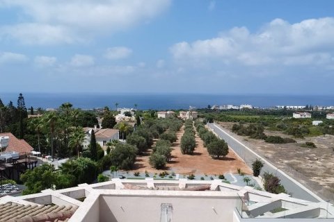 7 chambres Villa à Pegeia, Paphos, No. 50423 11