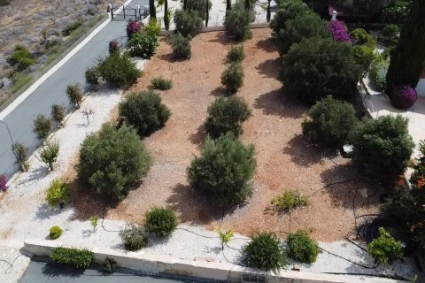7 chambres Villa à Pegeia, Paphos, No. 50423 17