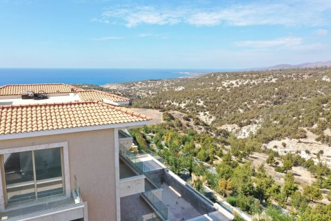 6 chambres Villa à Pegeia, Paphos,  No. 50422 7