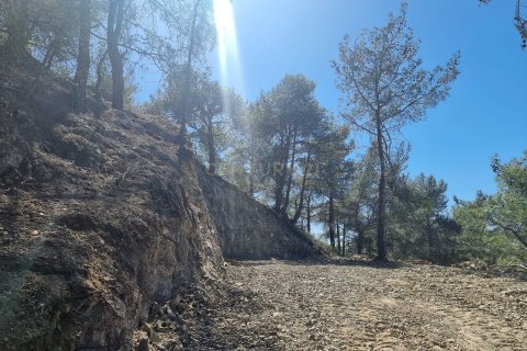 Land in Moniatis, Limassol, No. 54076 7
