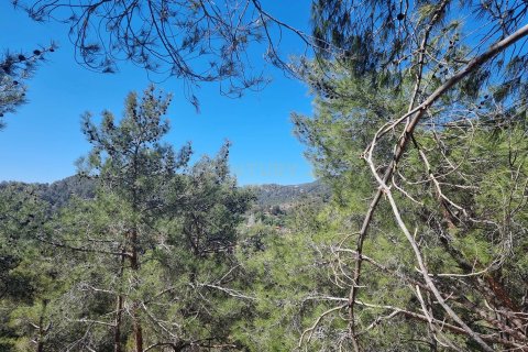 Land in Moniatis, Limassol, No. 54076 5