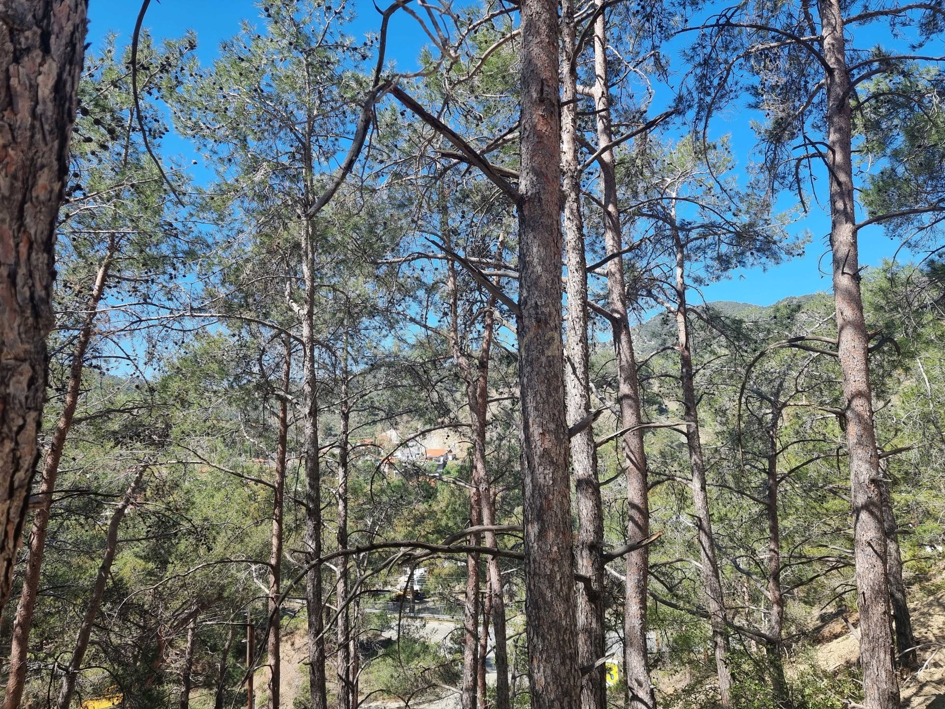 Land in Moniatis, Limassol, Cyprus No. 54076