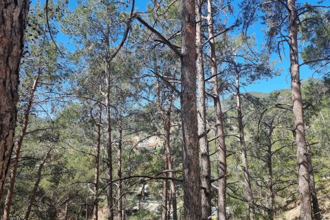 Land in Moniatis, Limassol, No. 54076 12