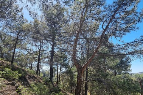 Land in Moniatis, Limassol, No. 54076 4