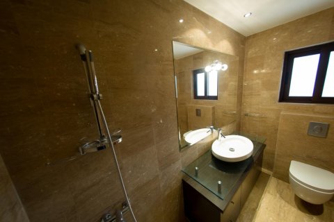 Вилла студия в Лимассол, Лимасол, № 38273 13