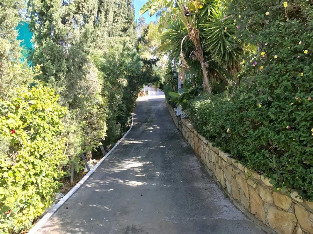 Studio Villa in Limassol, Cyprus No. 38276