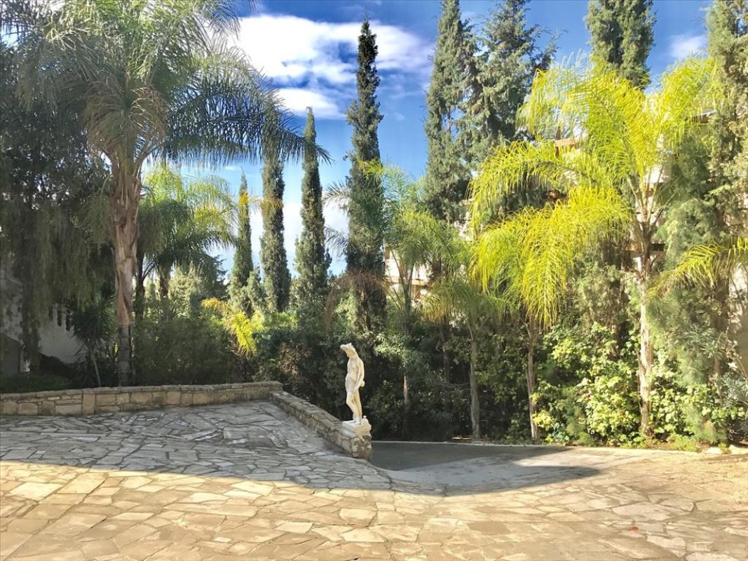 Studio Villa in Limassol, Cyprus No. 38276