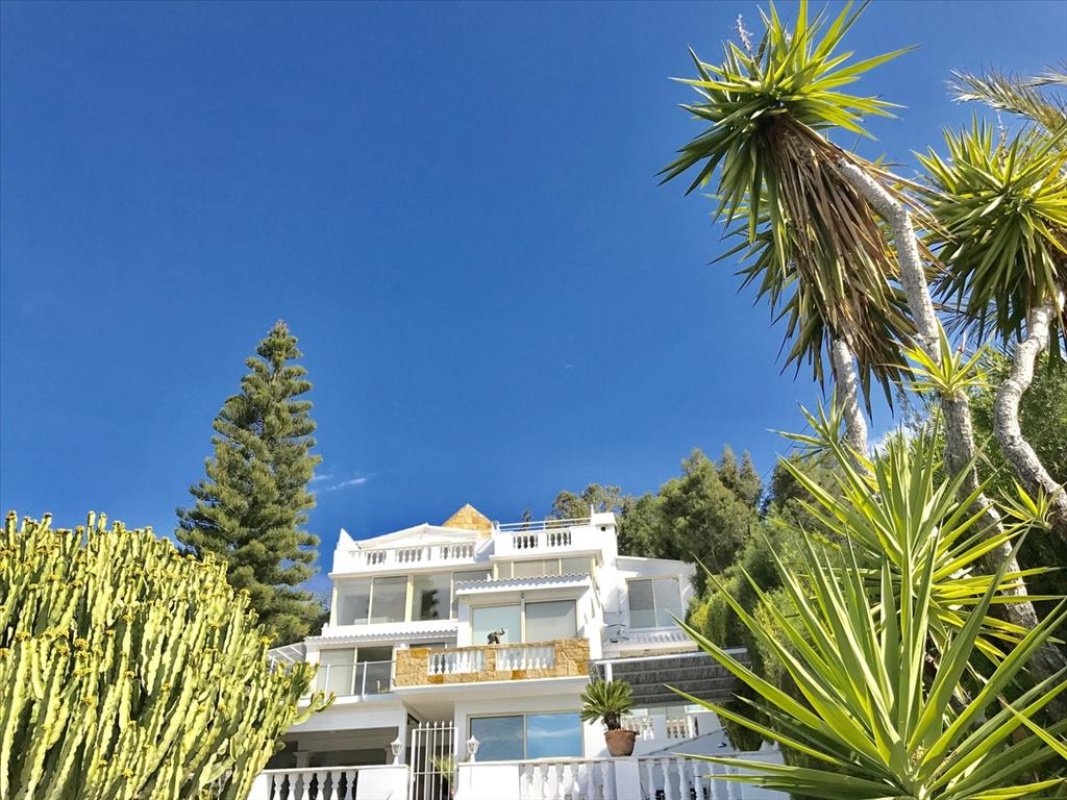 Studio Villa in Limassol, Cyprus No. 38276