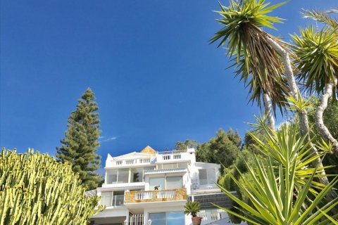 Studio Villa à Limassol,  No. 38276 6