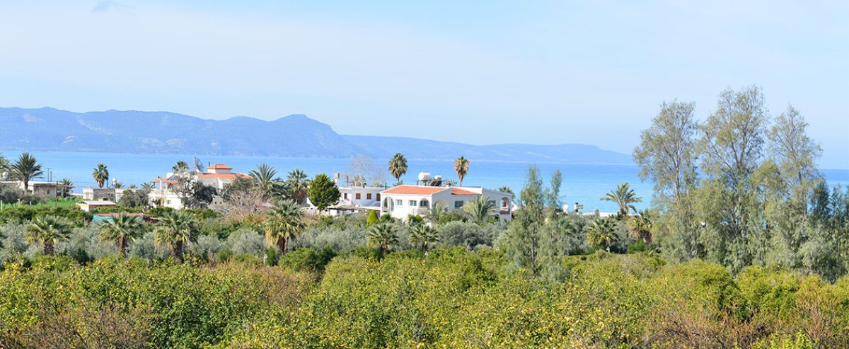 2 rooms Villa in Paphos, Cyprus No. 38198
