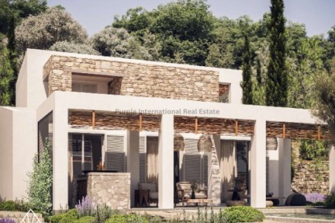 3 bedrooms Villa in Polis, Paphos,  No. 37858