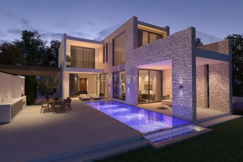 6 dormitorios Villa en Paphos,  No. 55408 5