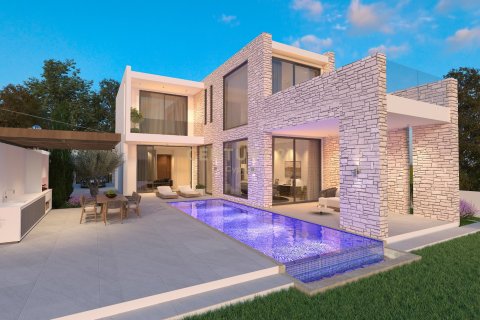 6 dormitorios Villa en Paphos,  No. 55408 3