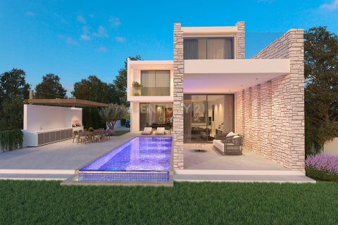 6 dormitorios Villa en Paphos,  No. 55408 4
