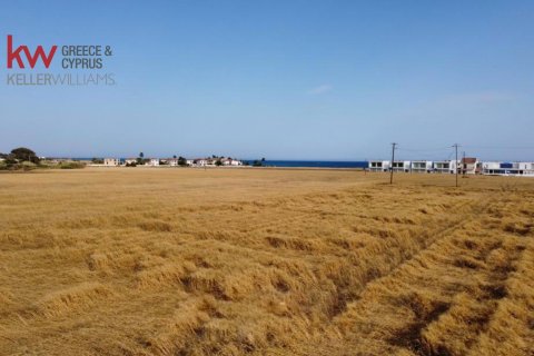 10000m2 Land in Softades, Larnaka,  No. 40153 3