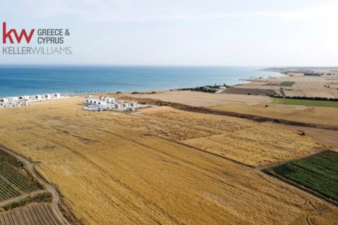 10000m2 Land in Softades, Larnaka,  No. 40153 2