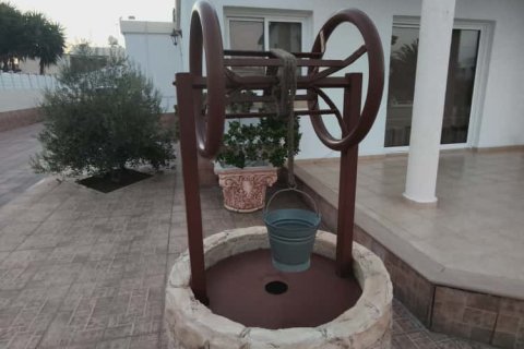 3 bedrooms Townhouse in Larnaka, No. 39849 7