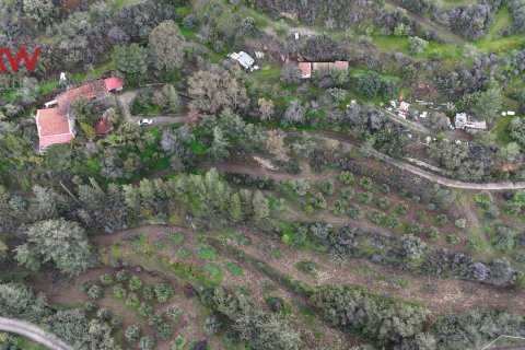 3 bedrooms Townhouse in Vavla, Larnaka,  No. 50813 25