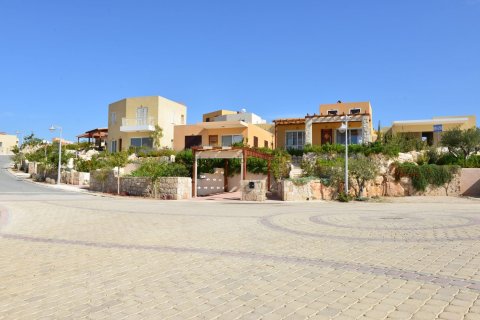 3 bedrooms Bungalow in Chloraka, Paphos, Cyprus No. 37594 13