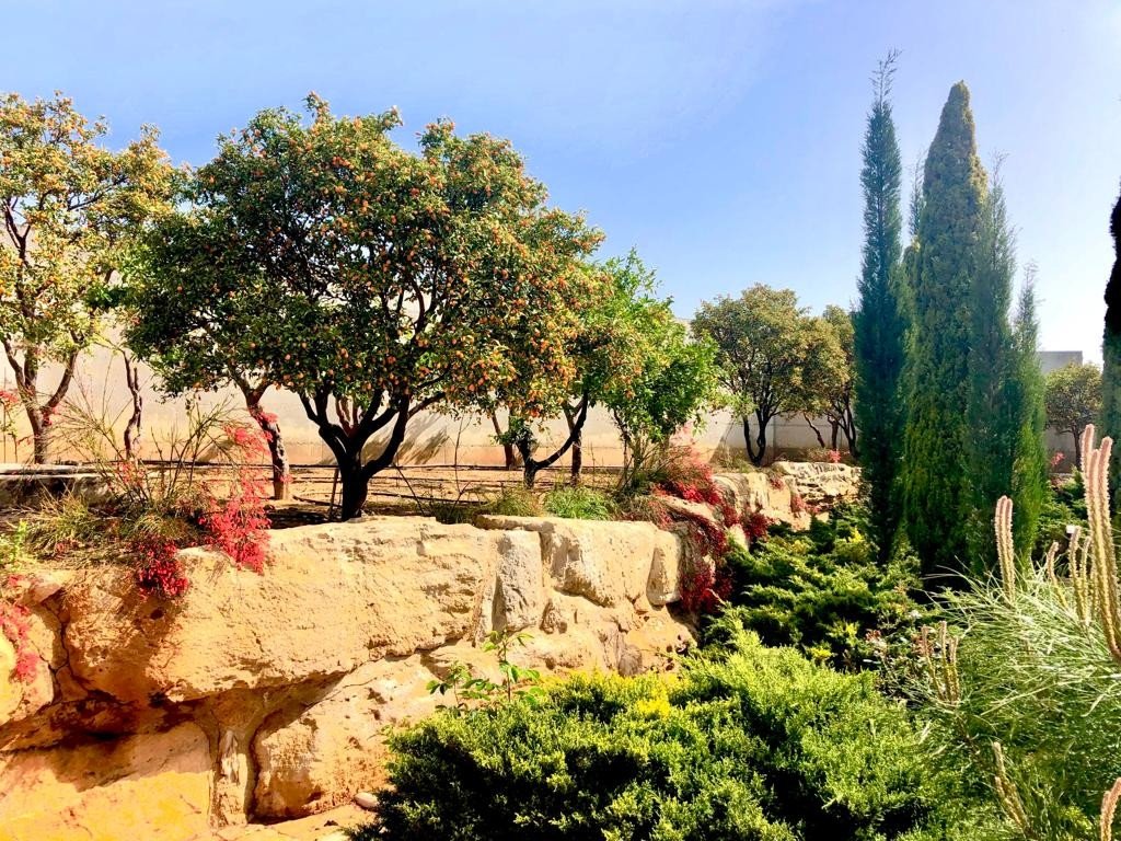 4 chambres Villa à Kato Polemidia, Limassol, Chypre No. 6705