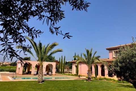 4 chambres Villa à Kato Polemidia, Limassol,  No. 6705 7