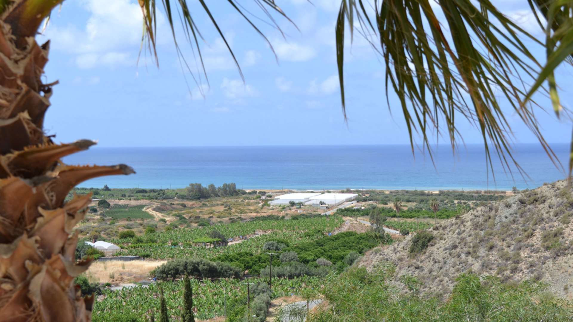 3 bedrooms Villa in Pegeia, Paphos, Cyprus No. 25751