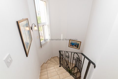 3 chambres Villa à Protaras, Ammochostos,  No. 52559 15