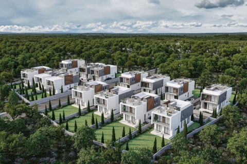 Вилла с 3 спальнями в Месоги, Пафос, Кипр № 37416 14