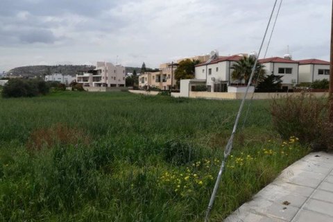 6000m2 Terrain à Sea Caves, Pegeia, Paphos, Chypre No. 26025