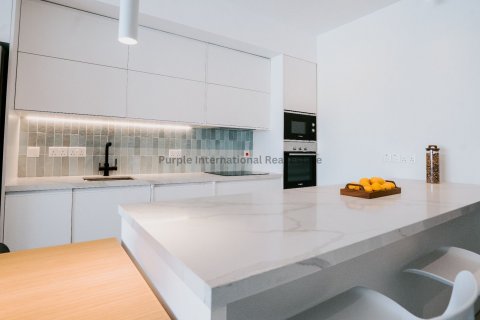 2 bedrooms Apartment in Geroskípou, Paphos, Cyprus No. 36870 16