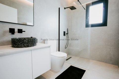 Квартира с 1 спальней в Героскипу, Пафос, Кипр № 36869 22