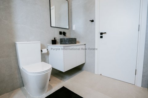 Квартира с 1 спальней в Героскипу, Пафос, Кипр № 36869 21