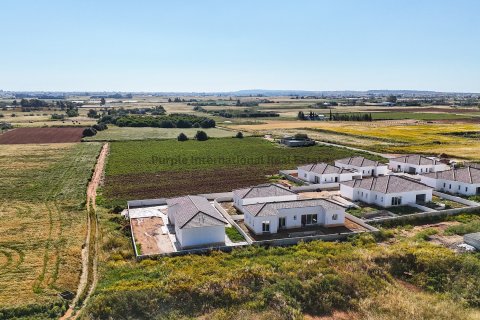 3 bedrooms Bungalow in Frenaros, Ammochostos,  No. 51175 10